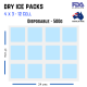 4x3 Disposable Dry ice packs