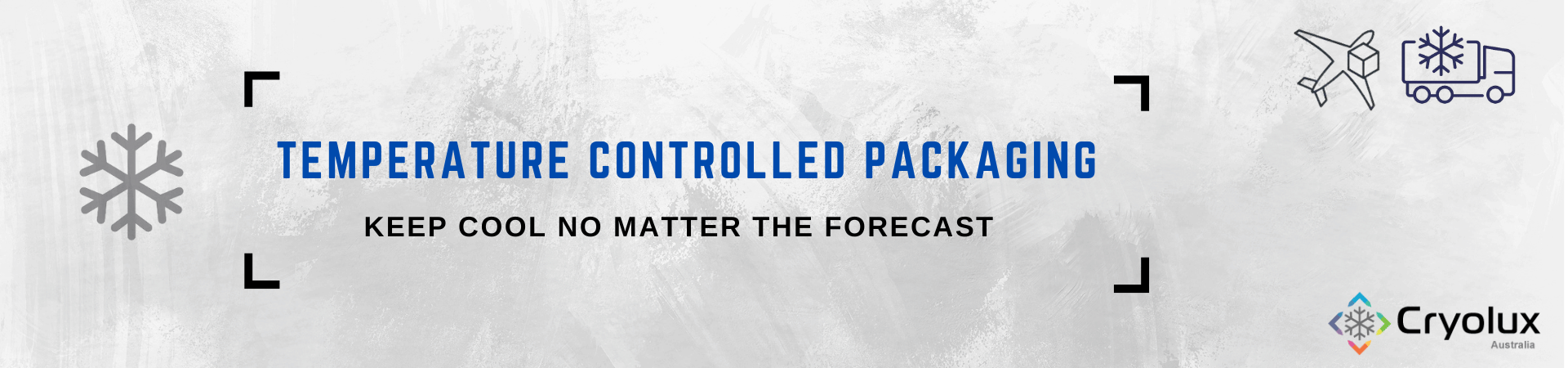 Temperature_Controlled_packaging_Cryolux