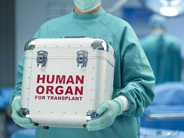 Image result for organ transport box